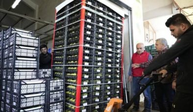 Türkiye’de üretiliyor Rusya’da kilosu yaklaşık 154 TL’den satılıyor