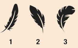 En büyük korkunuz ne? Sadece bir tüy seçin ve en büyük korkunuz ile yüzleşin!