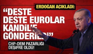 CHP-DEM hattında kirli pazarlık! Erdoğan açıkladı: Deste deste Eurolar kandile gönderildi!