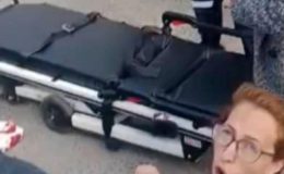 İstanbul’da pitbull dehşeti: 6 kişiyi parçalamış