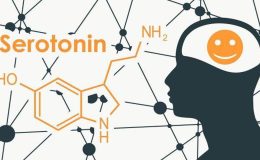 Serotonin, melatonin mutluluk hormonu nasıl artar? Mutluluk hormonu sağlayan şeyler…