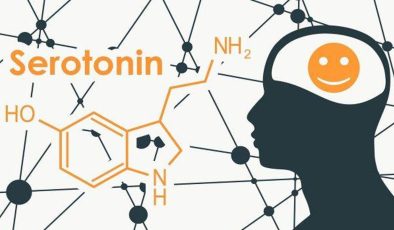 Serotonin, melatonin mutluluk hormonu nasıl artar? Mutluluk hormonu sağlayan şeyler…