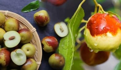 Taze ve kuru hünnap faydaları nelerdir? Hünnap meyvesi nerede yetişir, hangi hastalığa iyi gelir?