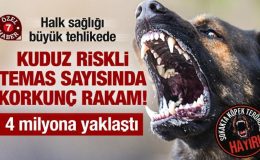 Kuduz riskli temas sayısında korkunç rakamlar: Son 15 yılda 4 milyon kişiye yaklaştı!