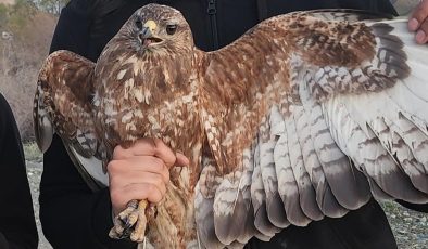 İki yılda üç kıtada 34 ülkeden geçti: Türkiye’de en fazla Iğdır’da konakladı