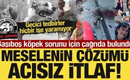Başıboş köpek sorunu için çağrıda bulundu: Meselenin çözümü acısız itlaf!